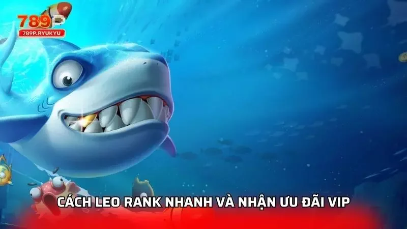 Cách leo rank và vận dụng mẹo siêu đỉnh cho newbie